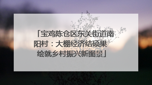 宝鸡陈仓区东关街道南阳村：大棚经济结硕果 绘就乡村振兴新图景