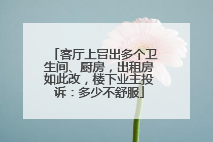 客厅上冒出多个卫生间、厨房，出租房如此改，楼下业主投诉：多少不舒服