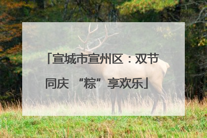 宣城市宣州区：双节同庆 “粽”享欢乐