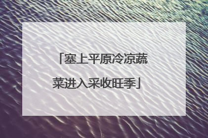 塞上平原冷凉蔬菜进入采收旺季