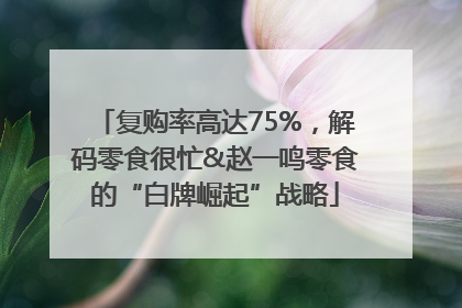 复购率高达75%，解码零食很忙&赵一鸣零食的“白牌崛起”战略