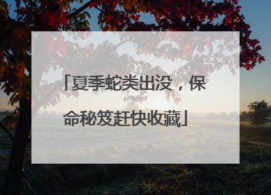 夏季蛇类出没，保命秘笈赶快收藏