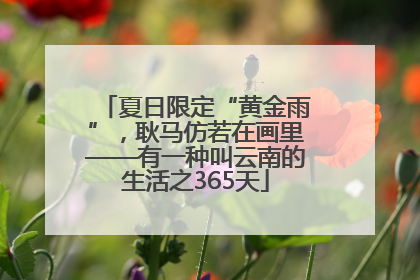 夏日限定“黄金雨”，耿马仿若在画里——有一种叫云南的生活之365天