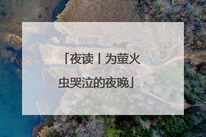 夜读丨为萤火虫哭泣的夜晚