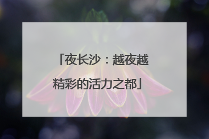夜长沙：越夜越精彩的活力之都