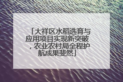 大祥区水稻选育与应用项目实现新突破，农业农村局全程护航成果斐然