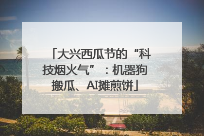 大兴西瓜节的“科技烟火气”：机器狗搬瓜、AI摊煎饼