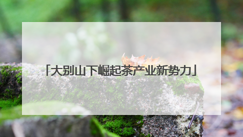 大别山下崛起茶产业新势力