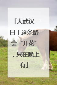 大武汉一日丨这条路会“开花”，只在晚上有