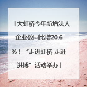 大虹桥今年新增法人企业数同比增20.6%！“走进虹桥 走进进博”活动举办