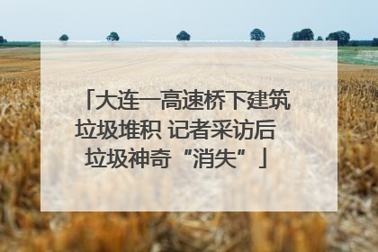 大连一高速桥下建筑垃圾堆积 记者采访后垃圾神奇“消失”