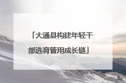 大通县构建年轻干部选育管用成长链