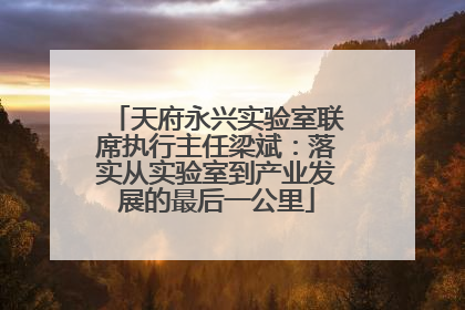 天府永兴实验室联席执行主任梁斌：落实从实验室到产业发展的最后一公里