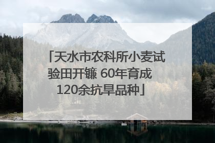 天水市农科所小麦试验田开镰 60年育成120余抗旱品种