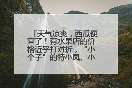 天气凉爽，西瓜便宜了！有水果店的价格近乎打对折，“小个子”的特小凤、小糖丸更好卖