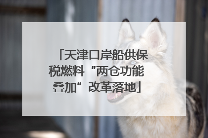天津口岸船供保税燃料“两仓功能叠加”改革落地