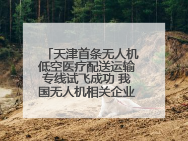 天津首条无人机低空医疗配送运输专线试飞成功 我国无人机相关企业超3.6万家