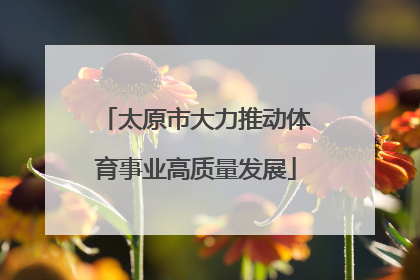 太原市大力推动体育事业高质量发展