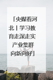 央媒看河北丨学习教育走深走实 产业集群向新向好