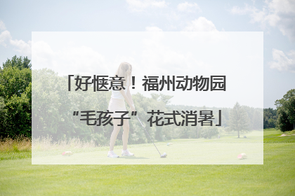 好惬意！福州动物园“毛孩子”花式消暑