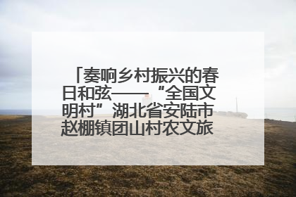 奏响乡村振兴的春日和弦——“全国文明村”湖北省安陆市赵棚镇团山村农文旅融合发展见闻