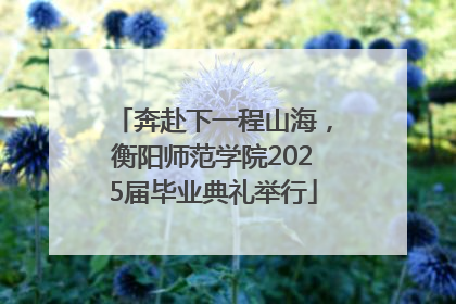 奔赴下一程山海，衡阳师范学院2025届毕业典礼举行