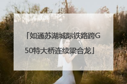 如通苏湖城际铁路跨G50特大桥连续梁合龙