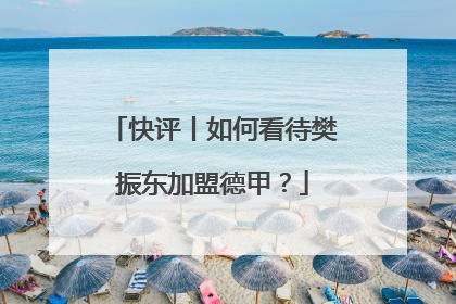 快评丨如何看待樊振东加盟德甲？