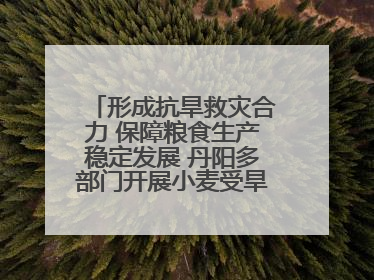 形成抗旱救灾合力 保障粮食生产稳定发展 丹阳多部门开展小麦受旱情况调研