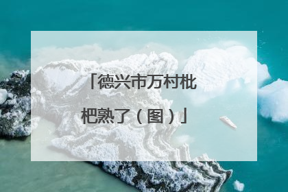 德兴市万村枇杷熟了（图）