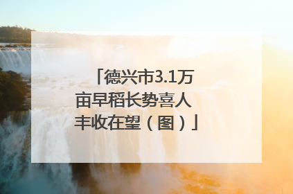 德兴市3.1万亩早稻长势喜人 丰收在望（图）