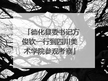 德化县委书记方俊钦一行到四川美术学院参观考察