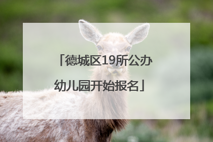 德城区19所公办幼儿园开始报名