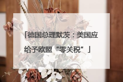 德国总理默茨：美国应给予欧盟“零关税”