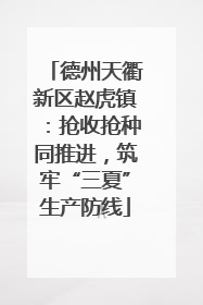 德州天衢新区赵虎镇：抢收抢种同推进，筑牢“三夏”生产防线
