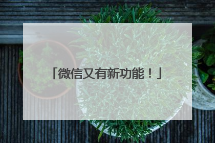 微信又有新功能！