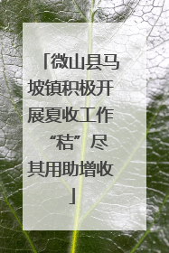 微山县马坡镇积极开展夏收工作 “秸”尽其用助增收