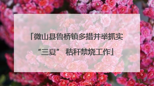微山县鲁桥镇多措并举抓实 “三夏” 秸秆禁烧工作