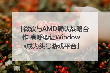 微软与AMD确认战略合作 高呼要让Windows成为头号游戏平台