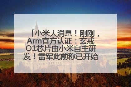 小米大消息！刚刚，Arm官方认证：玄戒O1芯片由小米自主研发！雷军此前称已开始大规模量产