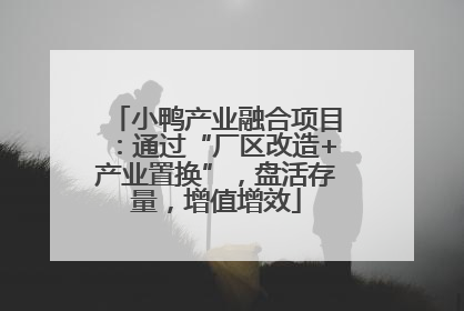 小鸭产业融合项目：通过“厂区改造+产业置换”，盘活存量，增值增效