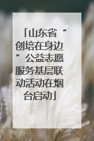 山东省“创培在身边”公益志愿服务基层联动活动在烟台启动