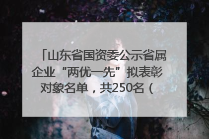 山东省国资委公示省属企业“两优一先”拟表彰对象名单，共250名（个）党员和党组织