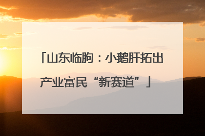 山东临朐：小鹅肝拓出产业富民“新赛道”