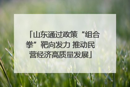 山东通过政策“组合拳”靶向发力 推动民营经济高质量发展