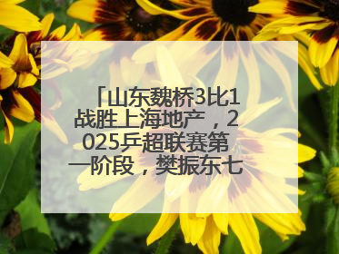 山东魏桥3比1战胜上海地产，2025乒超联赛第一阶段，樊振东七战七胜收官