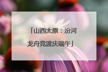 山西太原：汾河龙舟竞渡庆端午