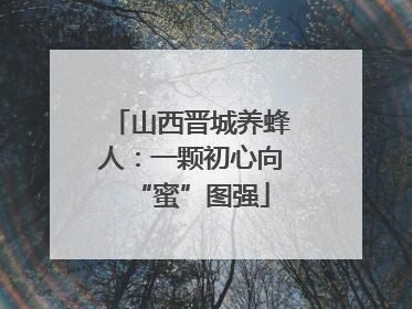 山西晋城养蜂人：一颗初心向“蜜”图强
