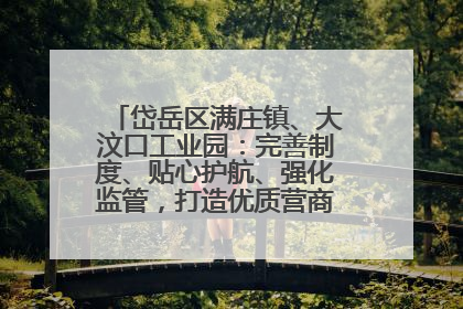 岱岳区满庄镇、大汶口工业园：完善制度、贴心护航、强化监管，打造优质营商“强磁场”