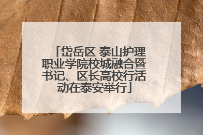 岱岳区 泰山护理职业学院校城融合暨书记、区长高校行活动在泰安举行